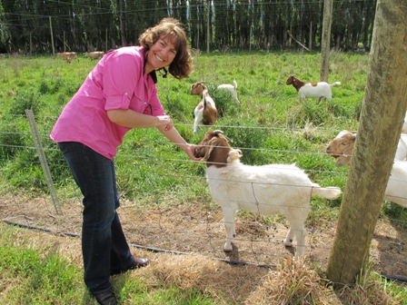 Patting the goats