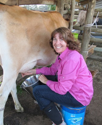 Milking demonstrations
