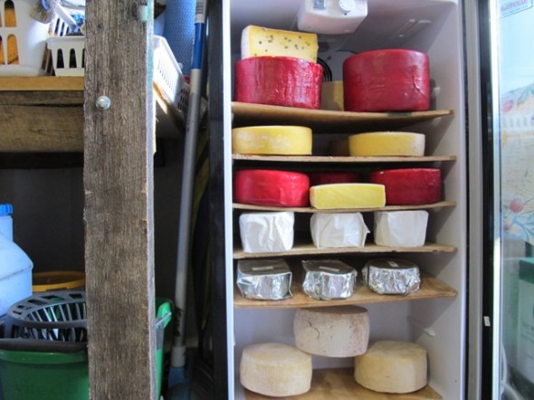 Homemade cheeses