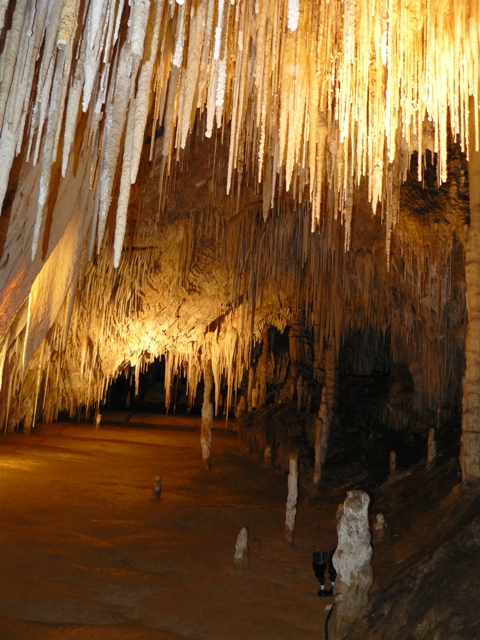 Hastings Caves & Thermal Springs